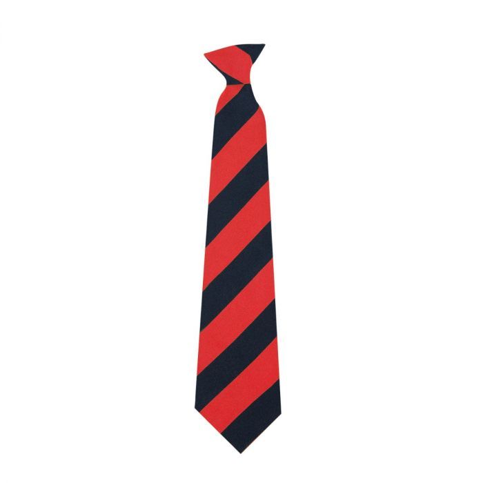 Ruth Gorse Academy Tie