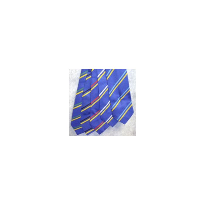 Woodkirk Academy Tie