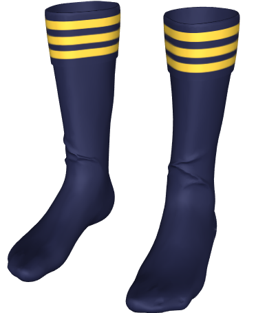 Morley Academy P.E Socks